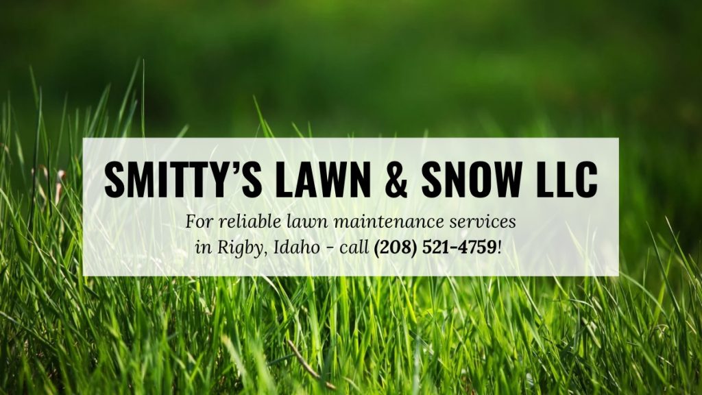 Rigby-lawn-maintenance