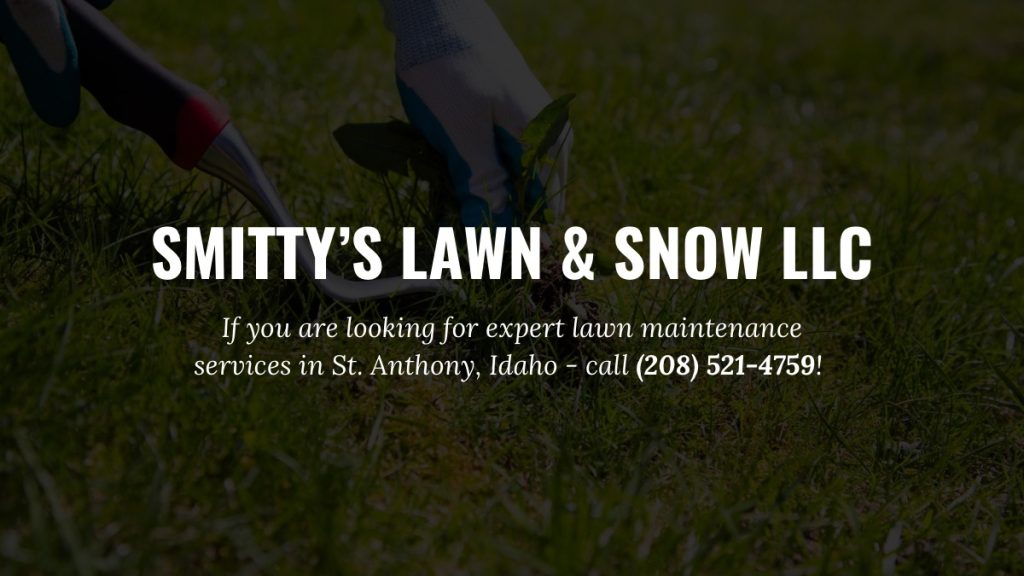 lawn-maintenance-in-St.-Anthony