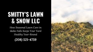 Idaho-Falls-seasonal-lawn-care